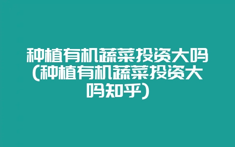 种植有机蔬菜投资大吗(种植有机蔬菜投资大吗知乎)-会东网
