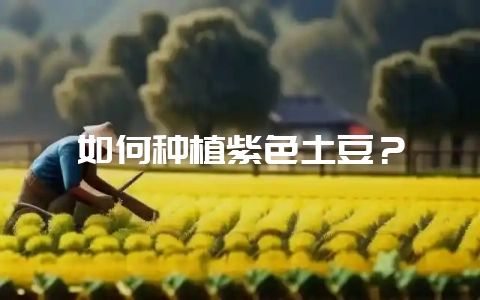如何种植紫色土豆？-会东网