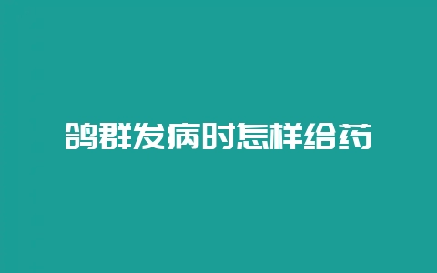 鸽群发病时怎样给药-会东网