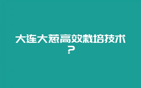 大连大葱高效栽培技术?-会东网