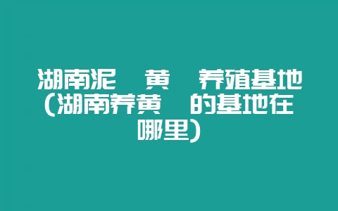 湖南泥鳅黄鳝养殖基地(湖南养黄鳝的基地在哪里)-会东网