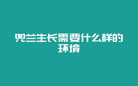 兜兰生长需要什么样的环境-会东网