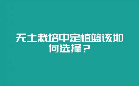 无土栽培中定植篮该如何选择？-会东网