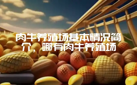 肉牛养殖场基本情况简介，哪有肉牛养殖场-会东网