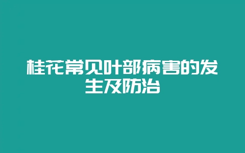 桂花常见叶部病害的发生及防治-会东网