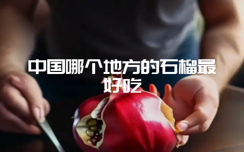 中国哪个地方的石榴最好吃-会东网