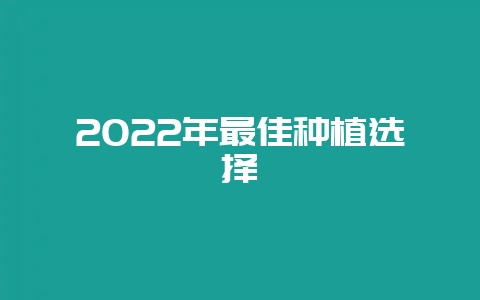 2022年最佳种植选择-会东网