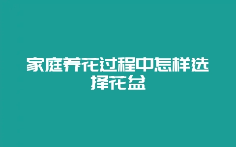 家庭养花过程中怎样选择花盆-会东网