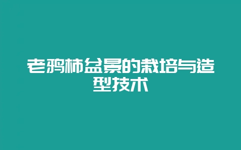 老鸦柿盆景的栽培与造型技术-会东网