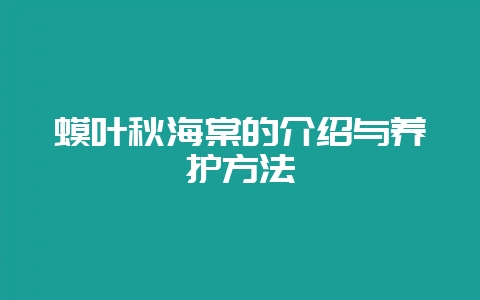 蟆叶秋海棠的介绍与养护方法-会东网