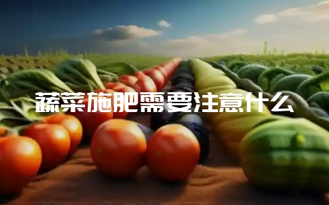 蔬菜施肥需要注意什么-会东网