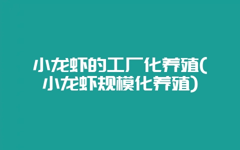 小龙虾的工厂化养殖(小龙虾规模化养殖)-会东网