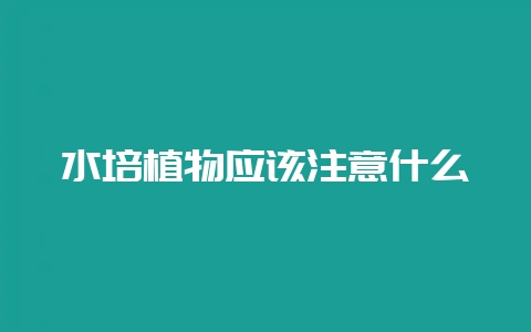 水培植物应该注意什么-会东网