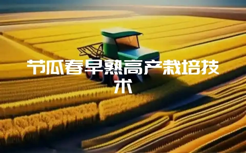 节瓜春早熟高产栽培技术-会东网