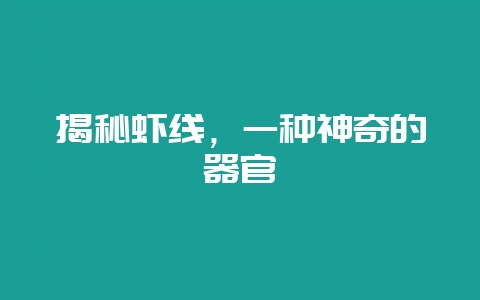 揭秘虾线，一种神奇的器官-会东网