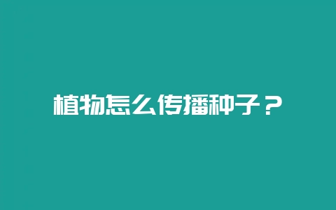 植物怎么传播种子？-会东网
