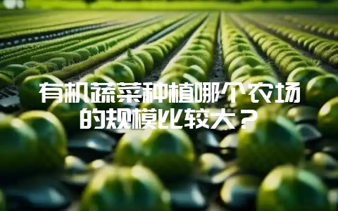 有机蔬菜种植哪个农场的规模比较大?-会东网