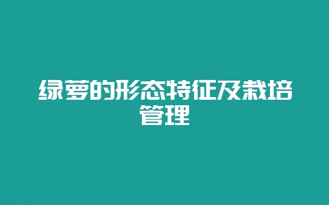 绿萝的形态特征及栽培管理-会东网