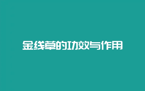 金线草的功效与作用-会东网
