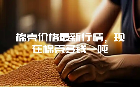 棉壳价格最新行情，现在棉壳多钱一吨-会东网
