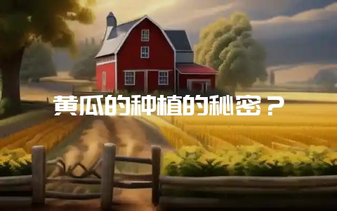 黄瓜的种植的秘密？-会东网