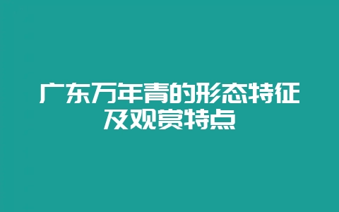 广东万年青的形态特征及观赏特点-会东网