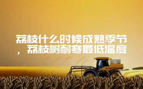 荔枝什么时候成熟季节，荔枝树耐寒最低温度-会东网