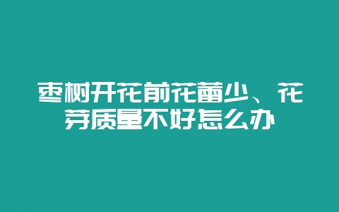 枣树开花前花蕾少、花芽质量不好怎么办-会东网