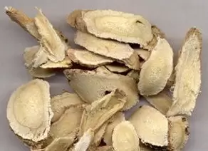黄芩治疗兔球虫病(图文)-会东网