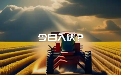今日入伏？-会东网