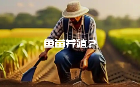 鱼苗养殖？-会东网