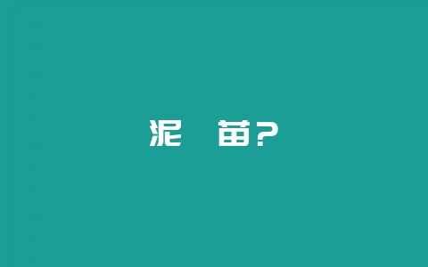 泥鳅苗？-会东网