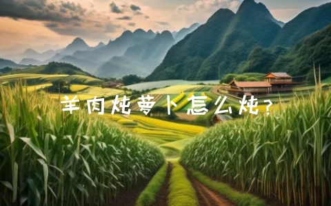 羊肉炖萝卜怎么炖?-会东网