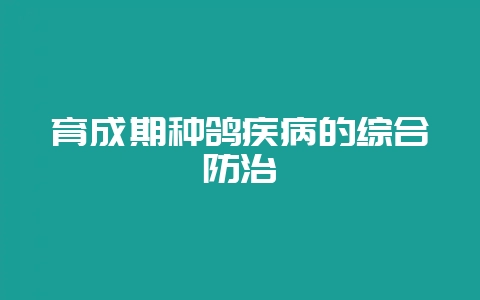 育成期种鸽疾病的综合防治-会东网