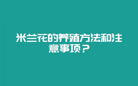 米兰花的养殖方法和注意事项？-会东网