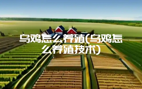 乌鸡怎么养殖(乌鸡怎么养殖技术)-会东网