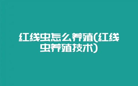 红线虫怎么养殖(红线虫养殖技术)-会东网