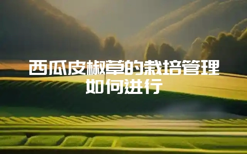 西瓜皮椒草的栽培管理如何进行-会东网