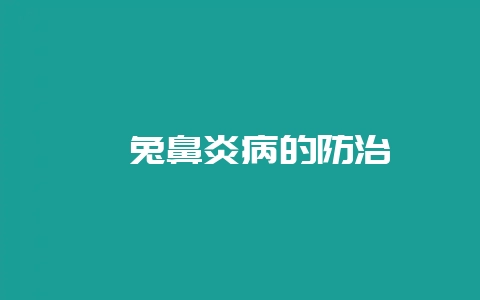 獭兔鼻炎病的防治-会东网