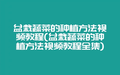 盆栽蔬菜的种植方法视频教程(盆栽蔬菜的种植方法视频教程全集)-会东网