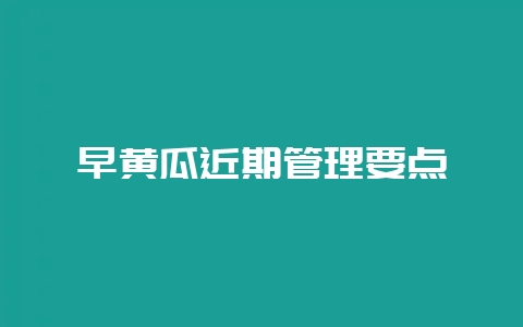 早黄瓜近期管理要点-会东网