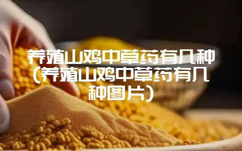 养殖山鸡中草药有几种(养殖山鸡中草药有几种图片)-会东网