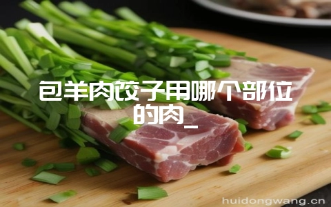 包羊肉饺子用哪个部位的肉_-会东网