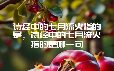 诗经中的七月流火指的是，诗经中的七月流火指的是哪一句-会东网