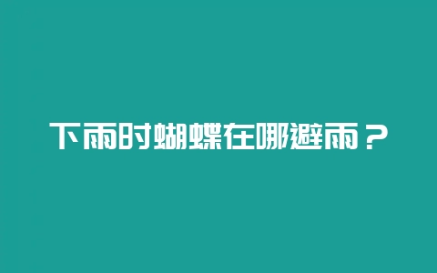 下雨时蝴蝶在哪避雨？-会东网