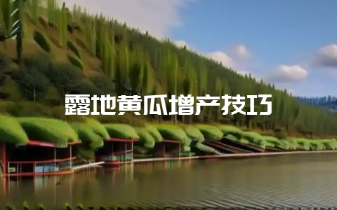 露地黄瓜增产技巧-会东网