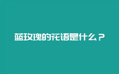 蓝玫瑰的花语是什么?-会东网