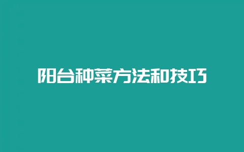 阳台种菜方法和技巧-会东网