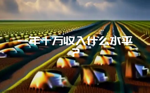 一年十万收入什么水平？-会东网
