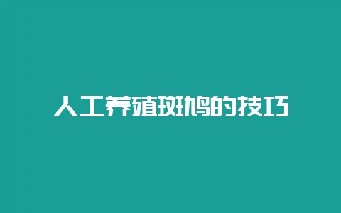 人工养殖斑鸠的技巧-会东网